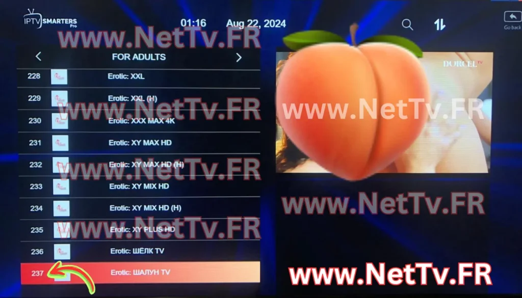Exemple de présentation d’une liste de chaînes IPTV pour adultes