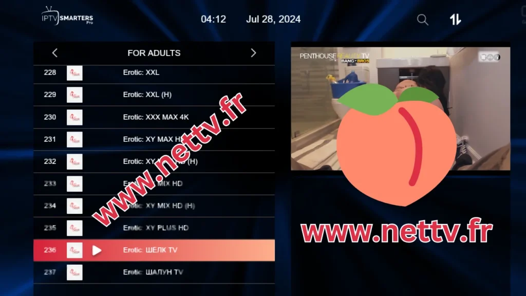 Illustration d’un abonnement IPTV avec chaînes pour adultes